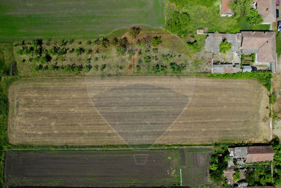 Teren intravilan 5,018mp Variasu Mare - 15 km de Arad/ str. Principală