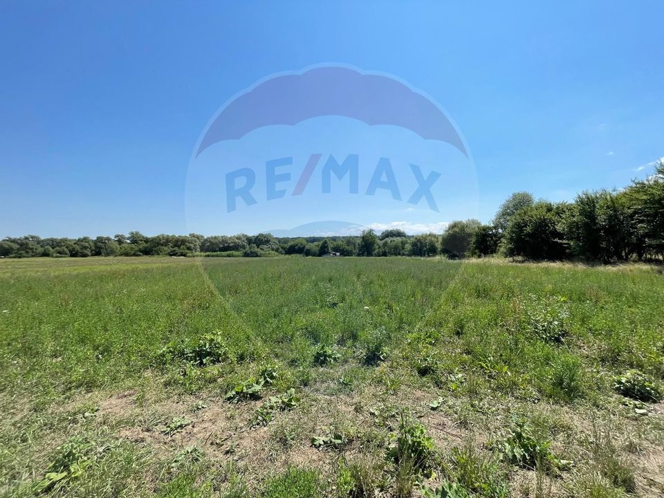 TEREN  INTRAVILAN  5000mp ORAS CISNADIE  STR. SELIMBARULUI