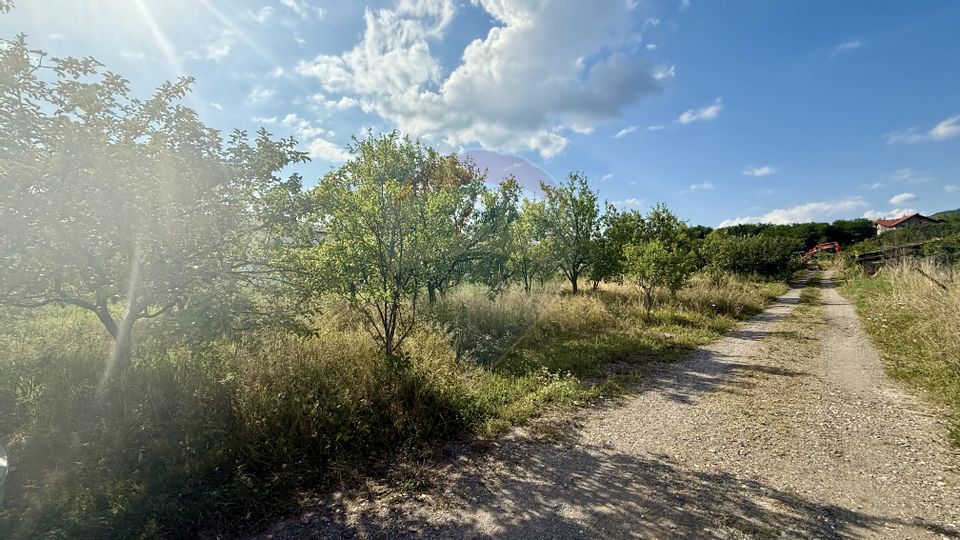 Land Tautii-Magheraus / Strada 52