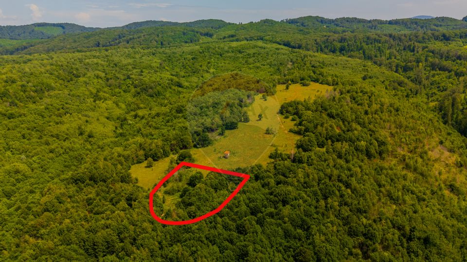 COMISION 0%  Teren 6,572 mp/Curți construcții/ Intravilan