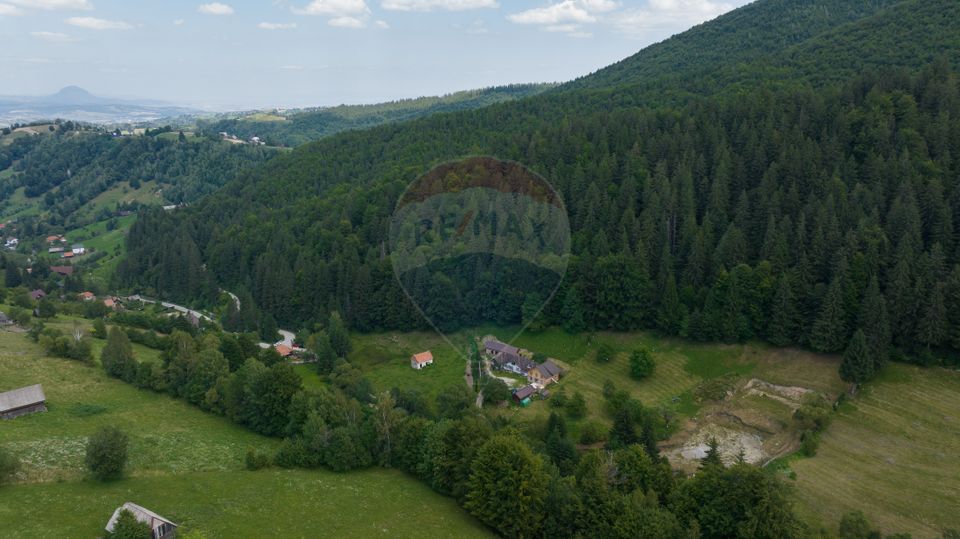 Teren 2.891 mp Șimon – Bran | Poziție rară, potențial turistic