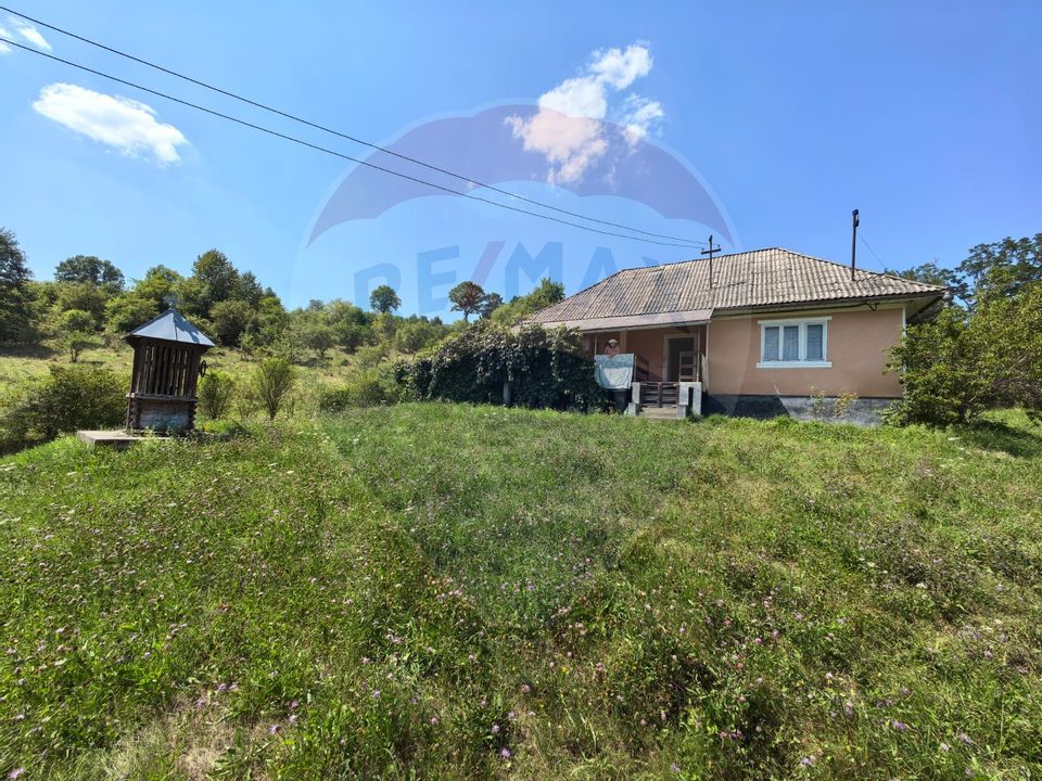 Casă cu teren generos de 62 ari – Berința, Maramureș