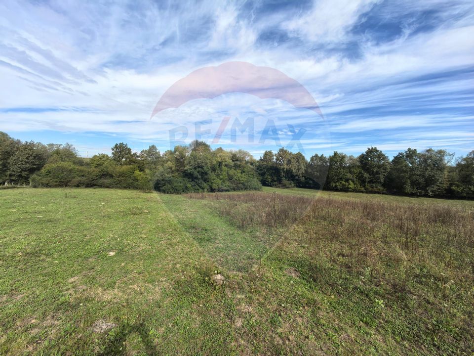 Teren 5,600mp Finteusu Mic / Strada Principala