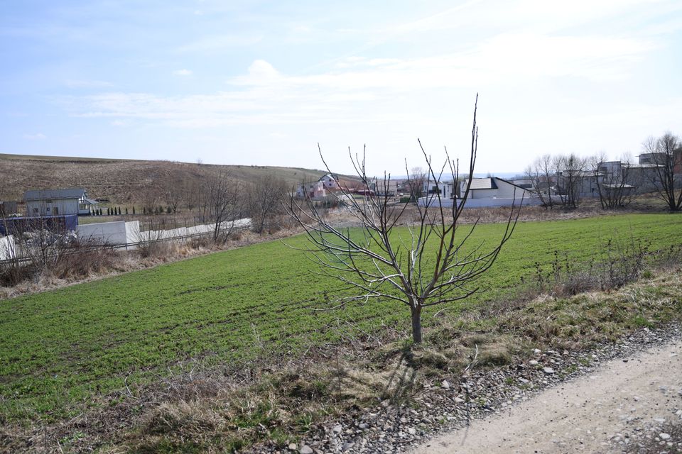 Teren 3,500mp Moara / Strada Pprincipala