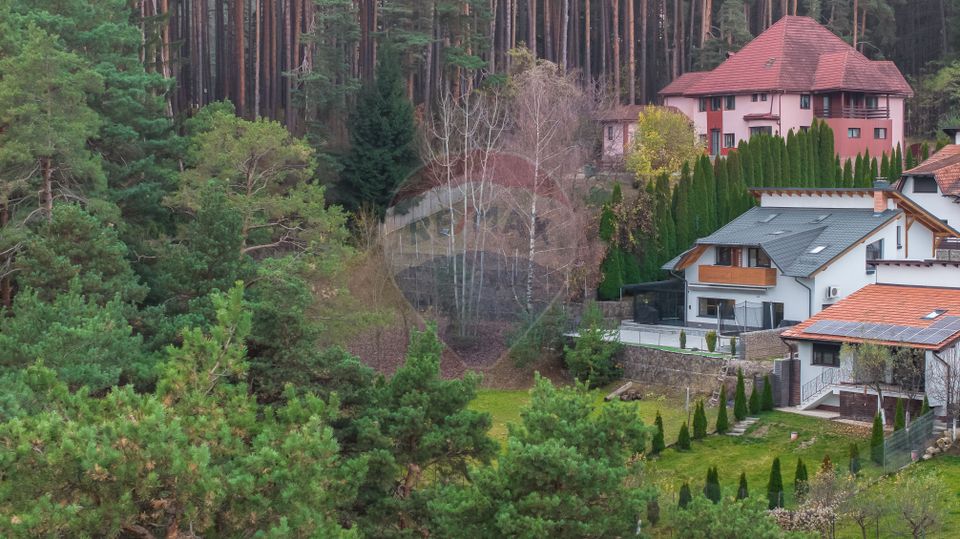 Vila moderna cu vedere spre padure Poiana Angelescu