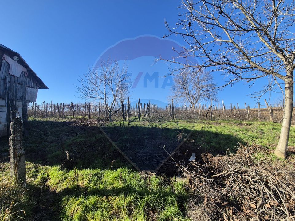 Casă de vânzare cu 4 camere si anexe in  Horgești-Recea