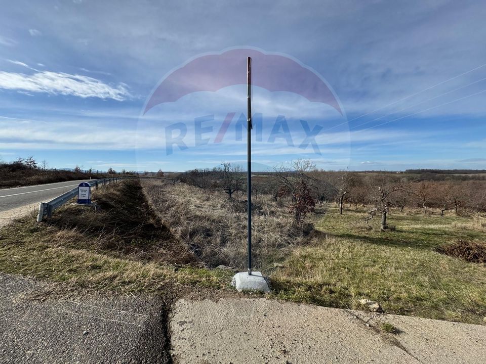 Land 70,808sqm Cuied / Drumul pp