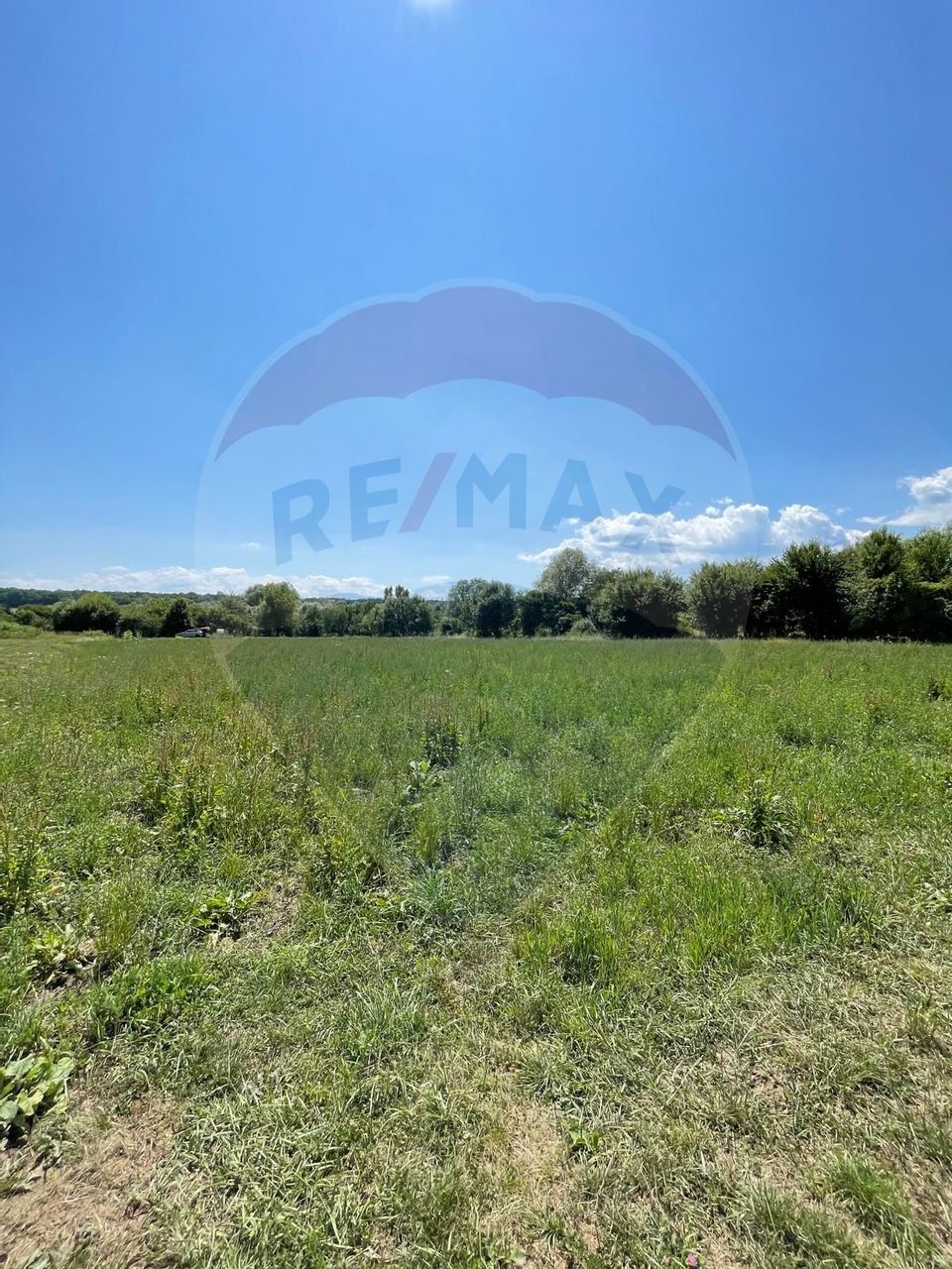 TEREN  INTRAVILAN  5000mp ORAS CISNADIE  STR. SELIMBARULUI