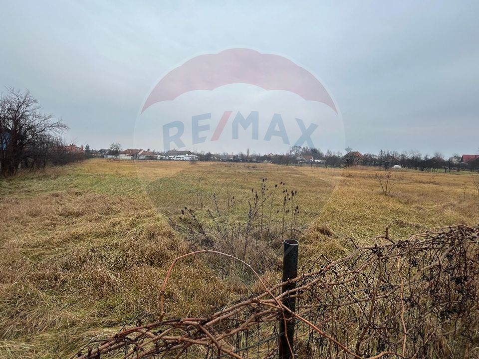 Land 9,866sqm Salonta / Strada Independentei , nr. 23
