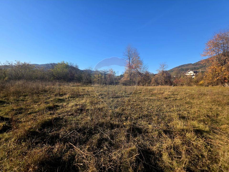 Land 6,874sqm Alexandru cel Bun / Strada plopusor