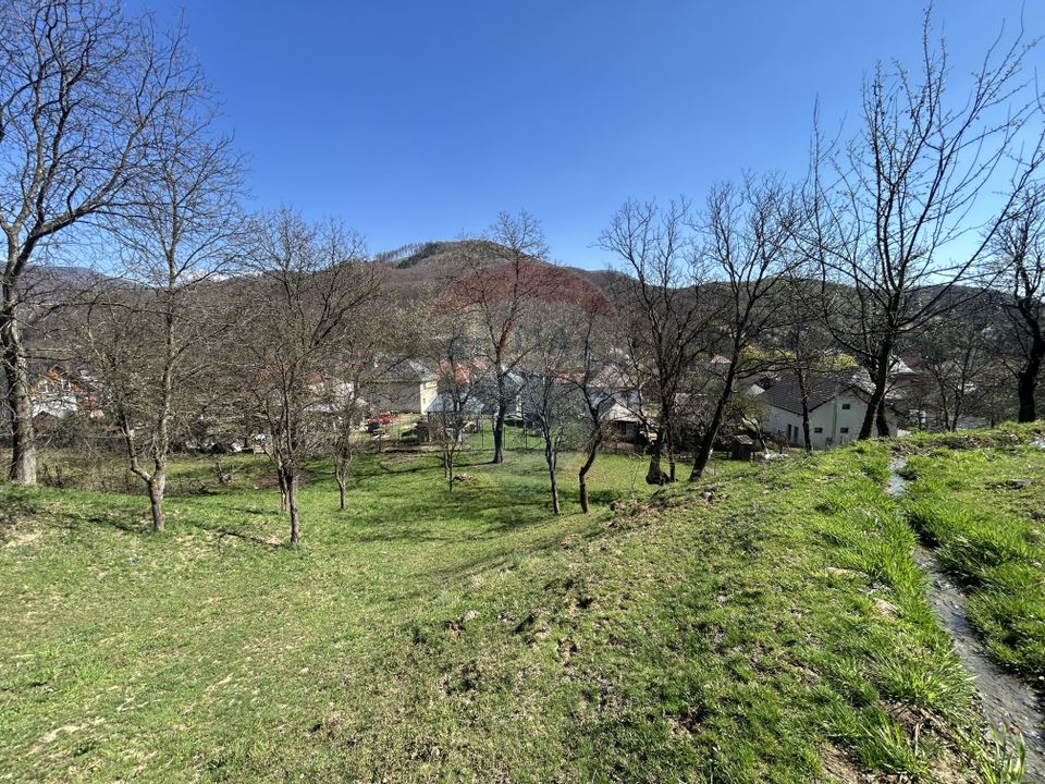 Land 1,106sqm Baia Mare / Strada Firiza