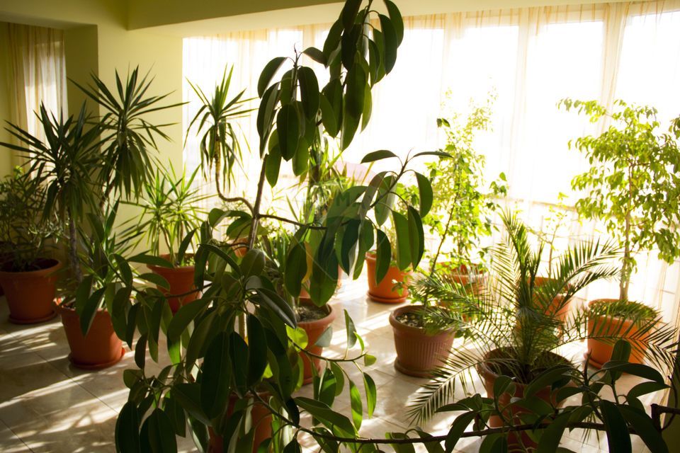 Hotel de vanzare la cateva minute de Podul Mogosoaia –Cu 40 de camere