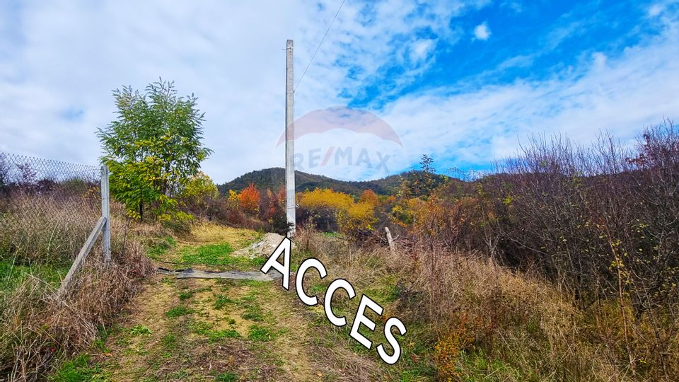 Teren de vânzare Baia Mare str. Strada Miron Costin