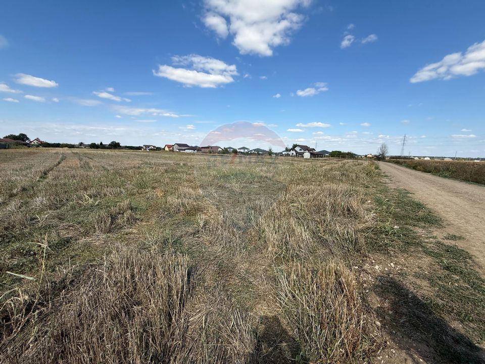 Land 5,000sqm Sabareni / Strada Trandafirilor