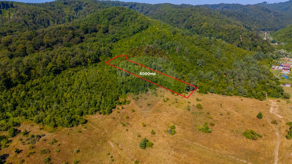 Land 6,000sqm Crizbav / Strada principala