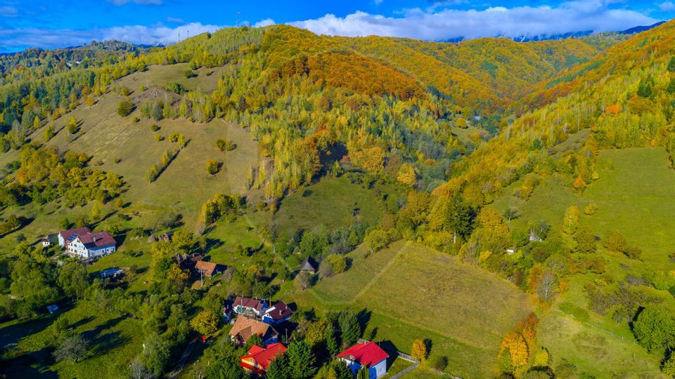 COMISION 0% Teren 11,381 mp Moieciu de Jos / Oportunitate unică