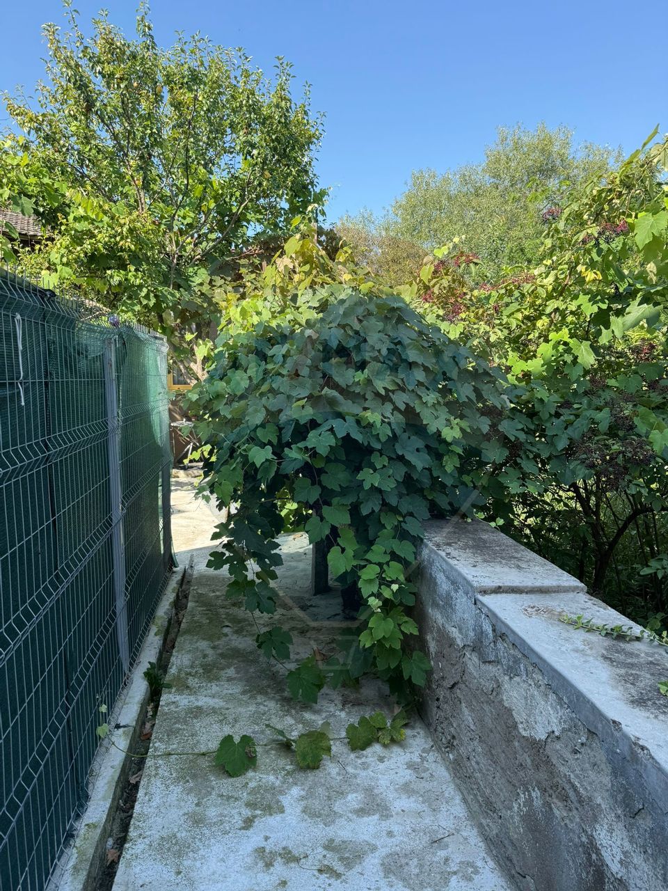 Casă insiruită cu 3 camere cu intrare și curte proprie în Centru Turda