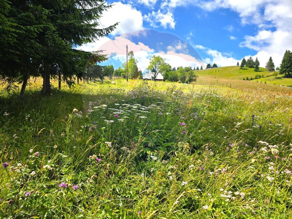 Teren de vis în Fundata 1934mp sau 3868mp, la înălțimea sufletului tău