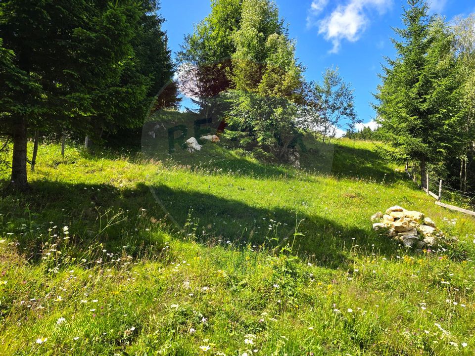 Teren de vis în Fundata 1934mp sau 3868mp, la înălțimea sufletului tău