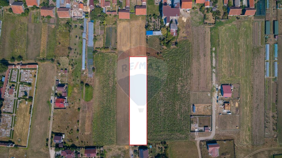 Land 3,203sqm Harman / Strada Preot dumitru greceanu