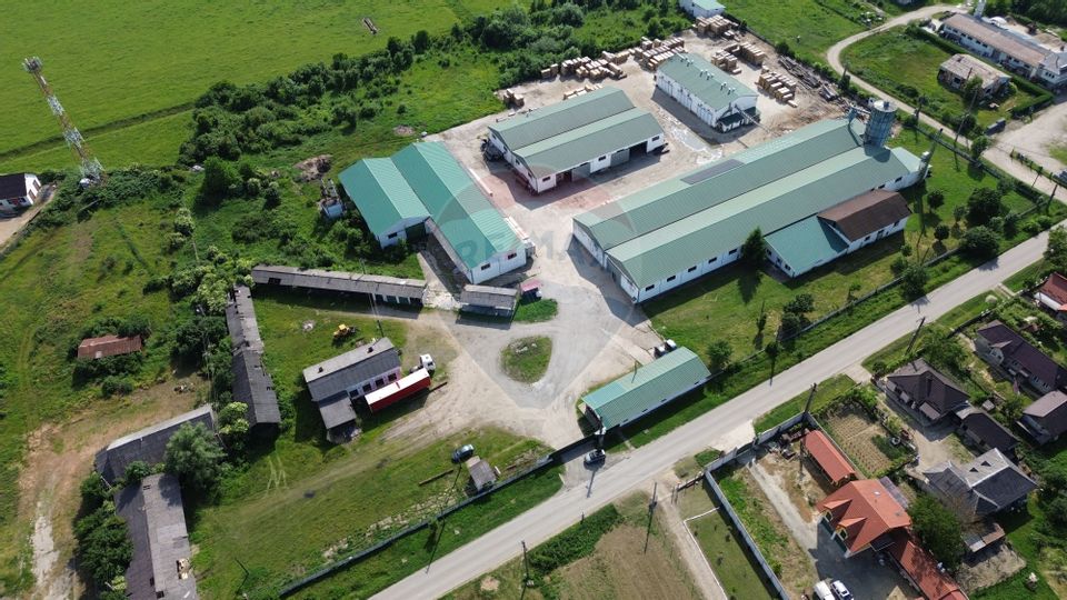 Hale de vanzare-ideale pentru depozit sau productie