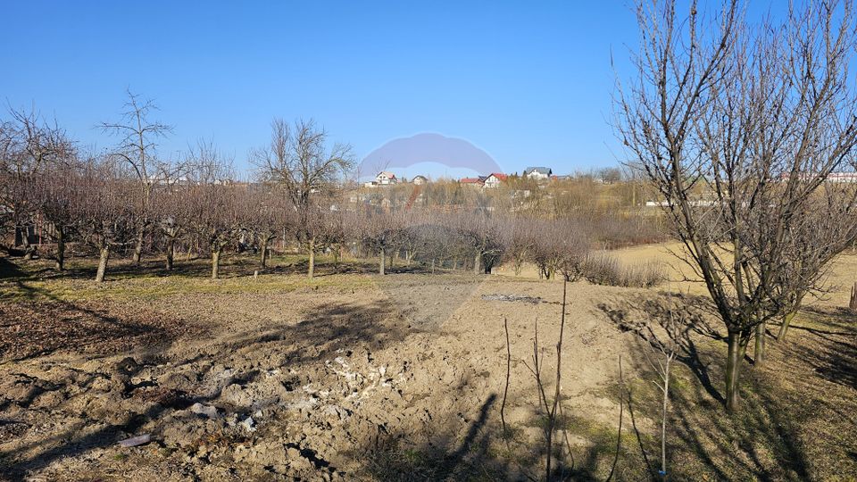 Casă / Vilă , Salcea, Suceava