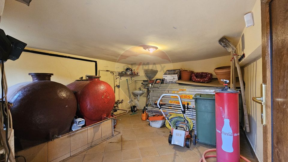 Casă de vânzare Bran Sohodol teren  intravilan 10.331 mp două locuințe