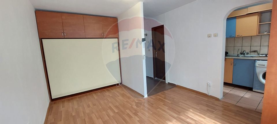 1 room Apartment for sale, Teiul Doamnei area