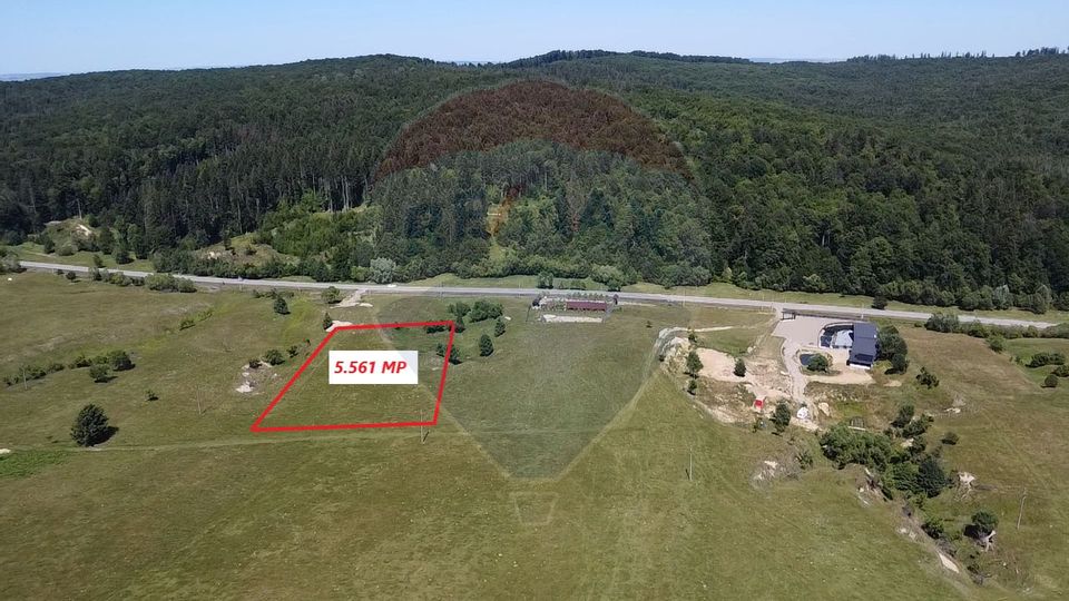 Land 5,561sqm Paltinoasa / Strada principala