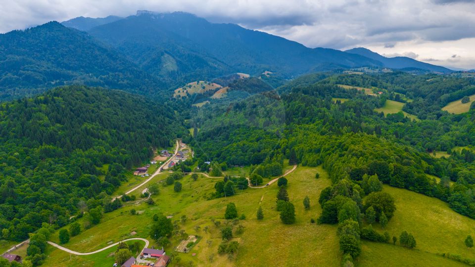 Land 2,410sqm Bran / Strada Pănicer