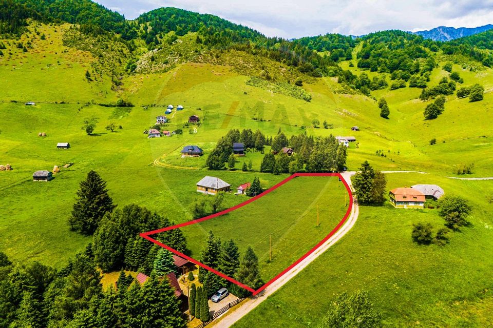 Land 5,731sqm Sirnea / Strada Principala