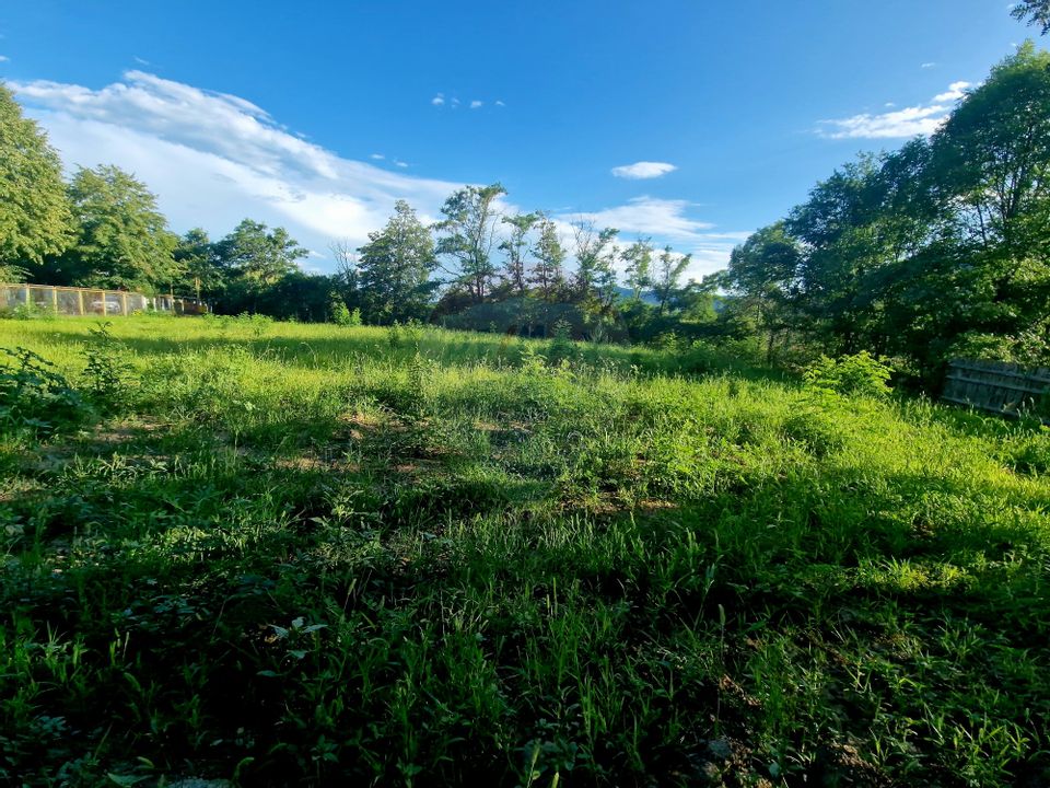 Teren 1,749mp Piatra-Neamt / Strada Zambilelor