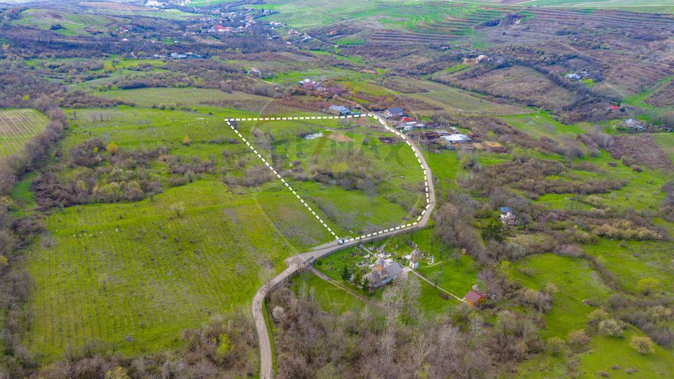 Teren 33.500 mp-Valea Orlei, Prahova/ COMISION 0%