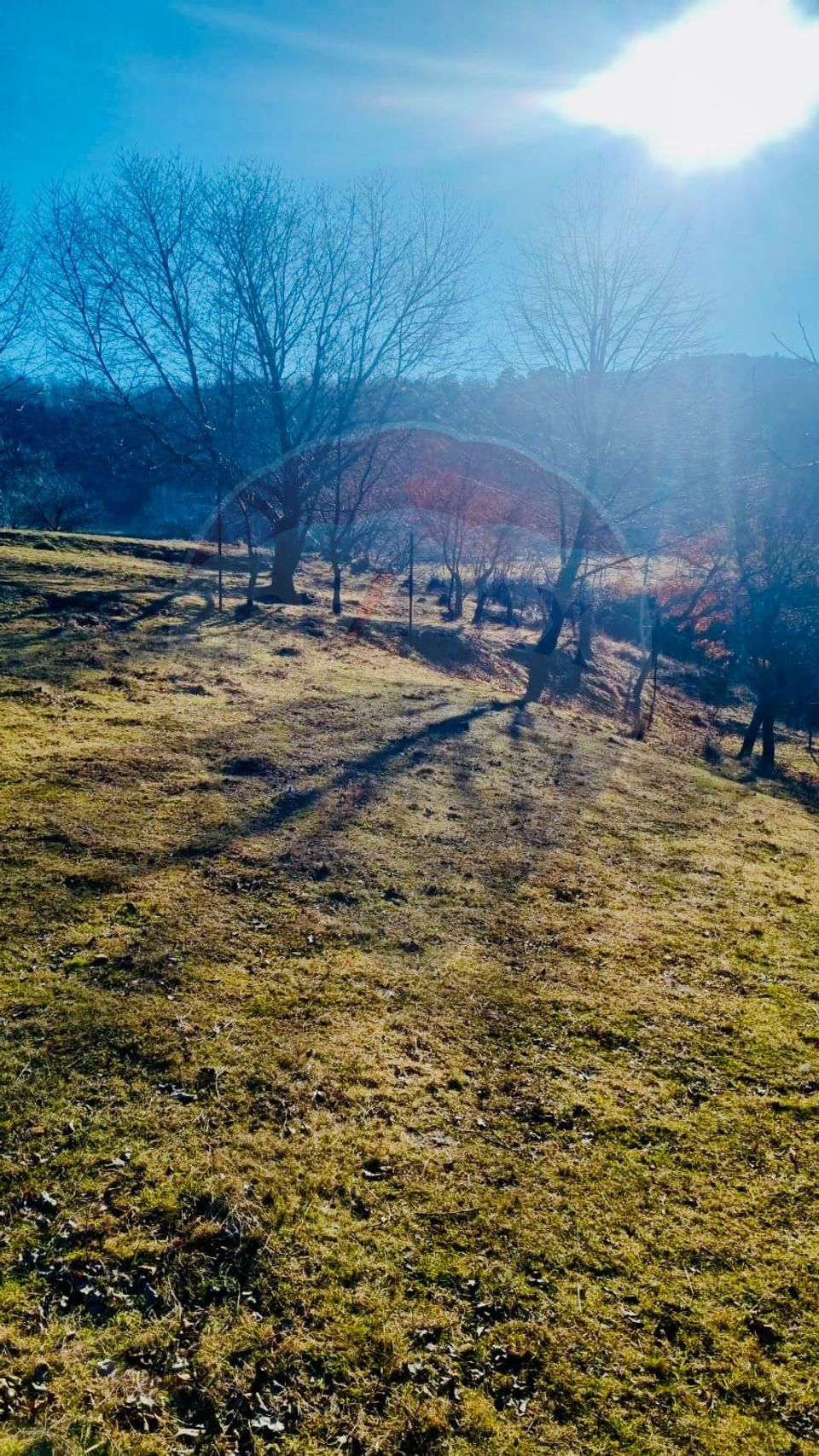 Teren Extravilan in Rasinari 799mp