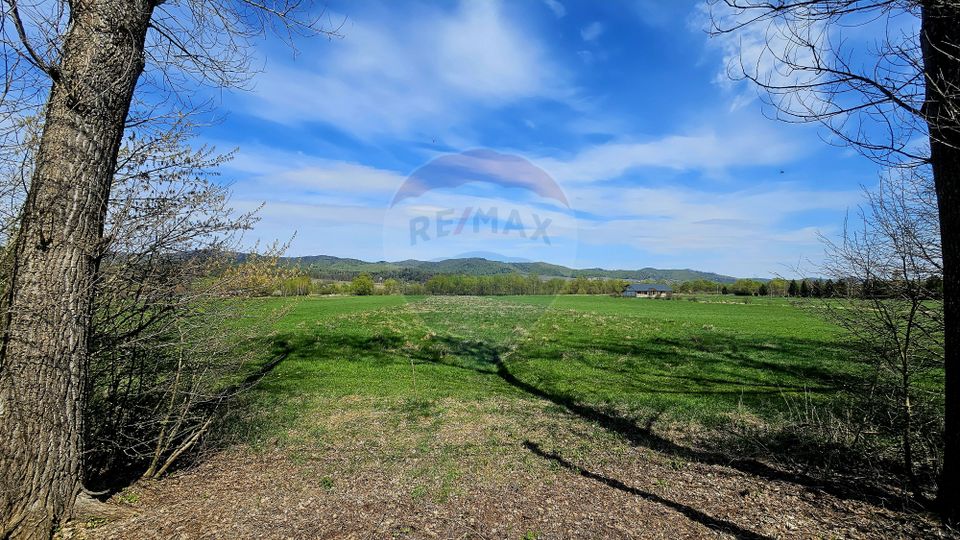 Land 10,000sqm Nemtisor / DJ 155C
