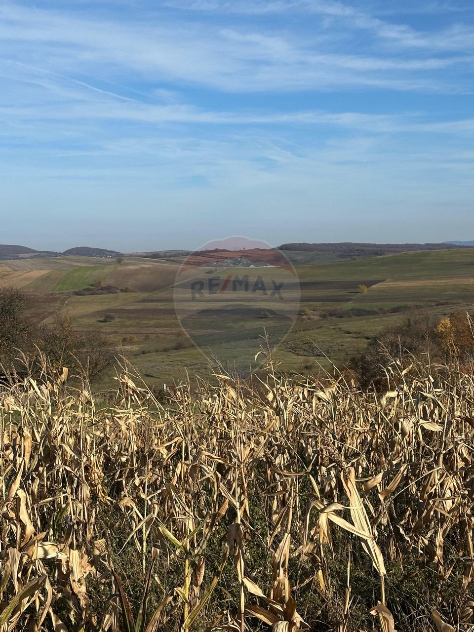 Land 6,446sqm Bogdand / Intrarea Babta