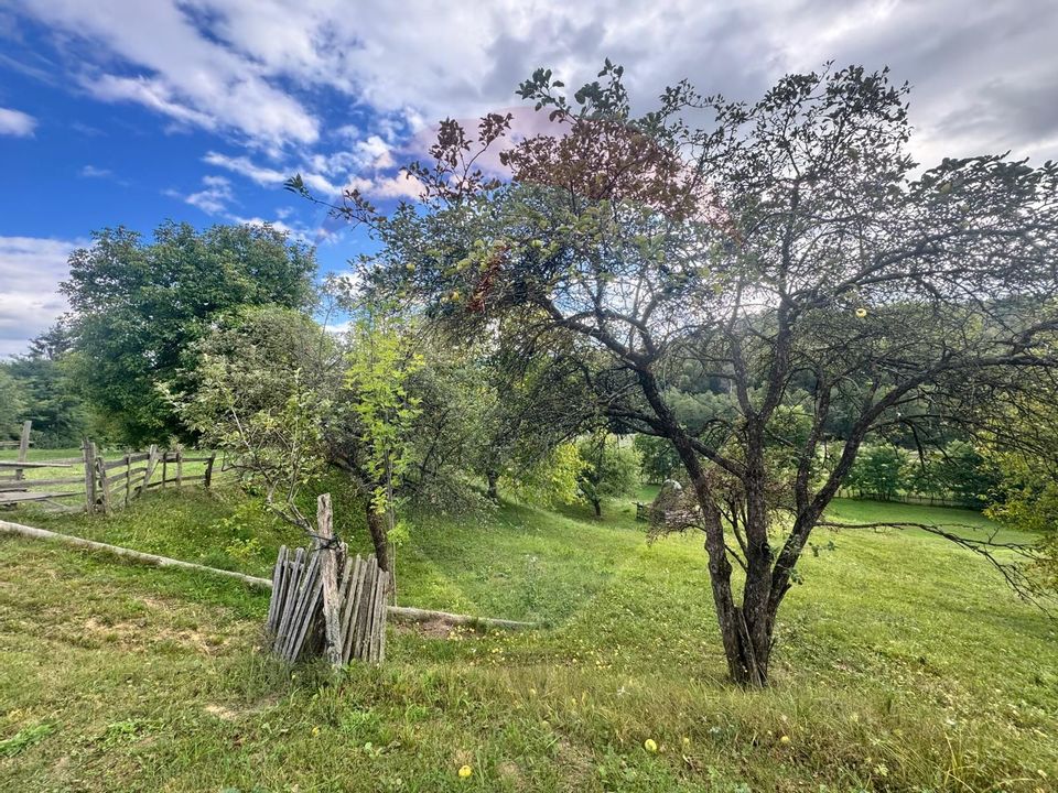 O oportunitate unică în inima naturii — 6.605 mp în Cândești