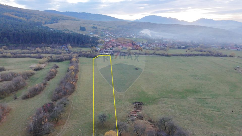 Teren 5.800 mp Purcareni curent, gaz, apă / Strada 30 decembrie