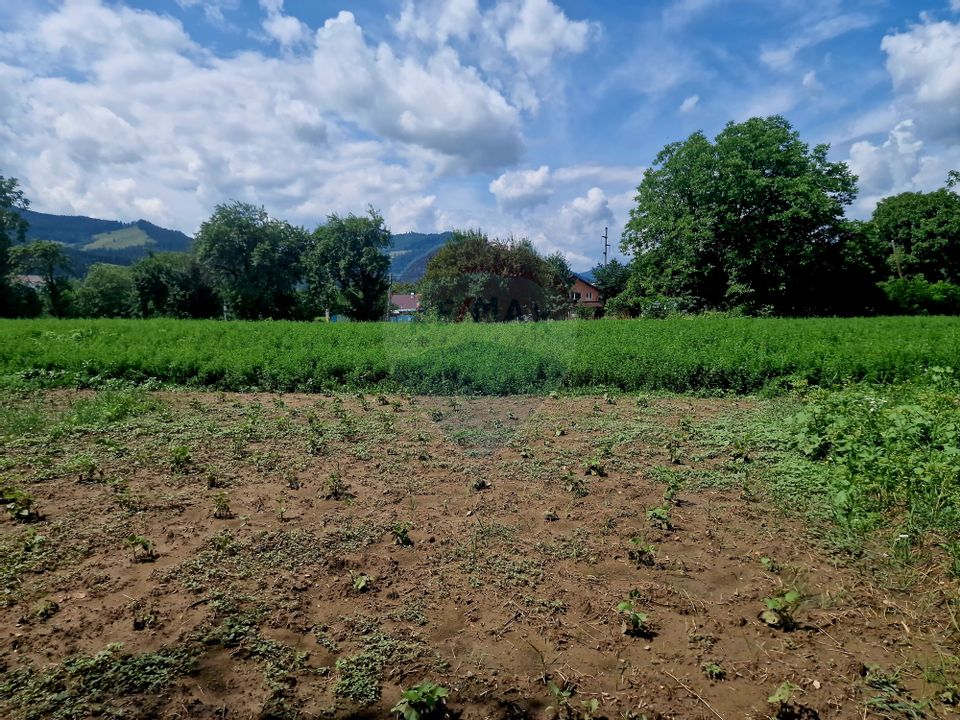 Teren intravilan 1000 mp – Viișoara, utilități