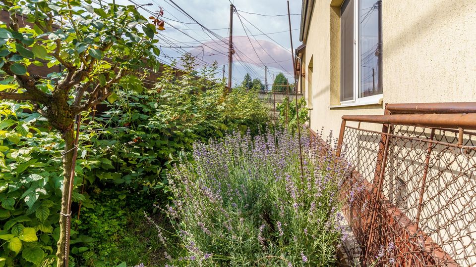 5 room House / Villa for sale, Semicentral area