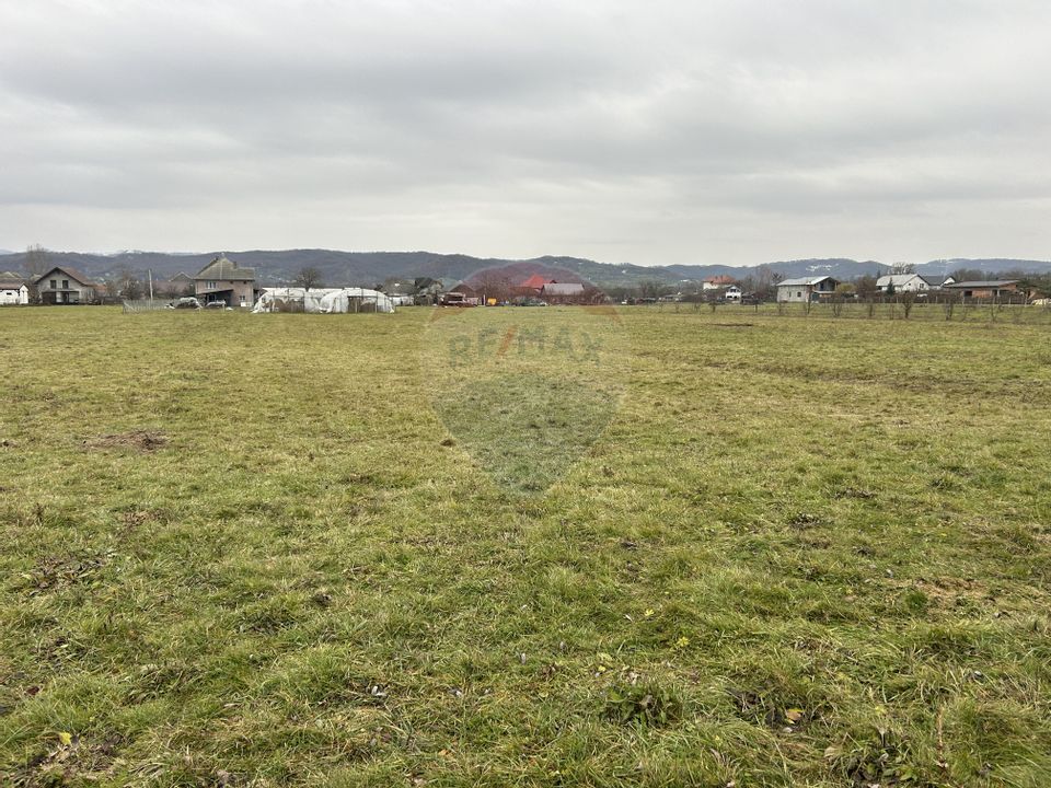 Land 4,250sqm Remetea Chioarului / Drumul Judetean