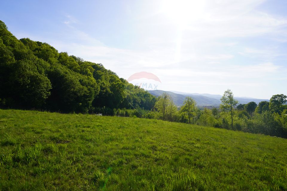 Teren 33,137mp Sighetu Marmatiei / Strada Mocăniței