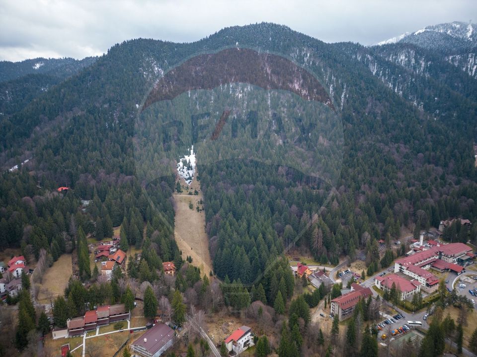 2000 sqm Intravilan Land for Sale in Poiana Brașov! 0% Commission!