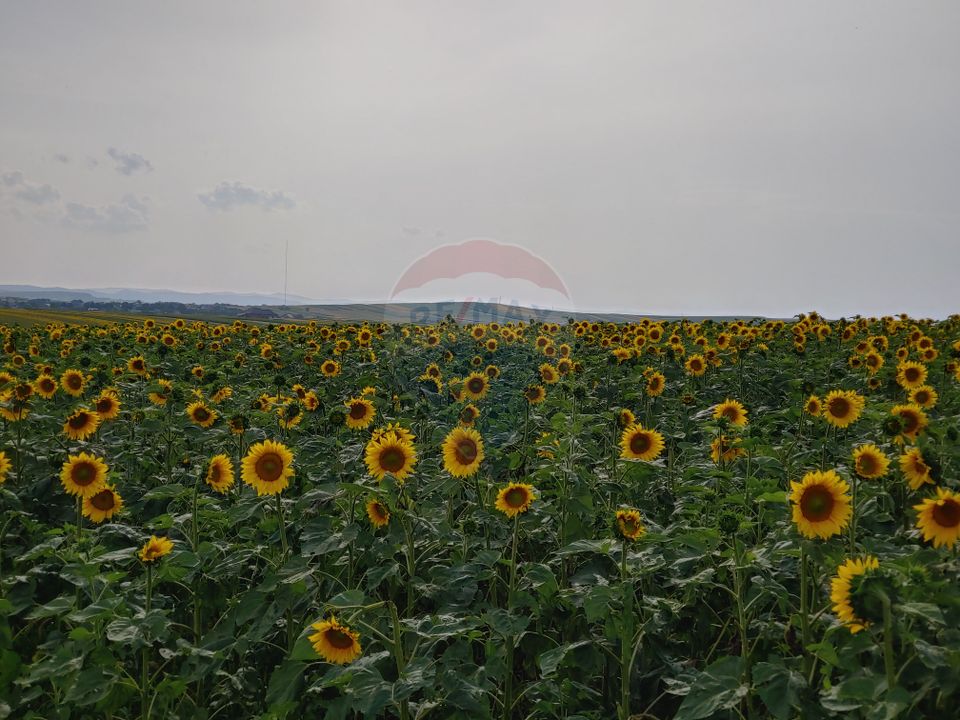 Teren parțial intravilan-300000mp Stroiești-Trei Movile, Suceava