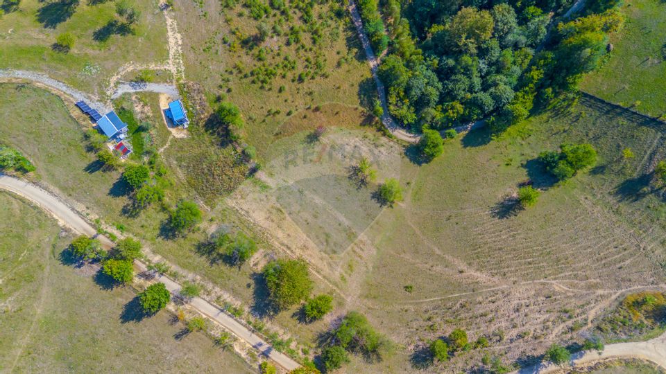 Teren extravilan 6,014mp | Holbav | BRASOV | COMISION 0|