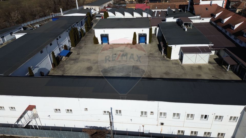 Fabrica de preparate si conserve din carne  la Medias