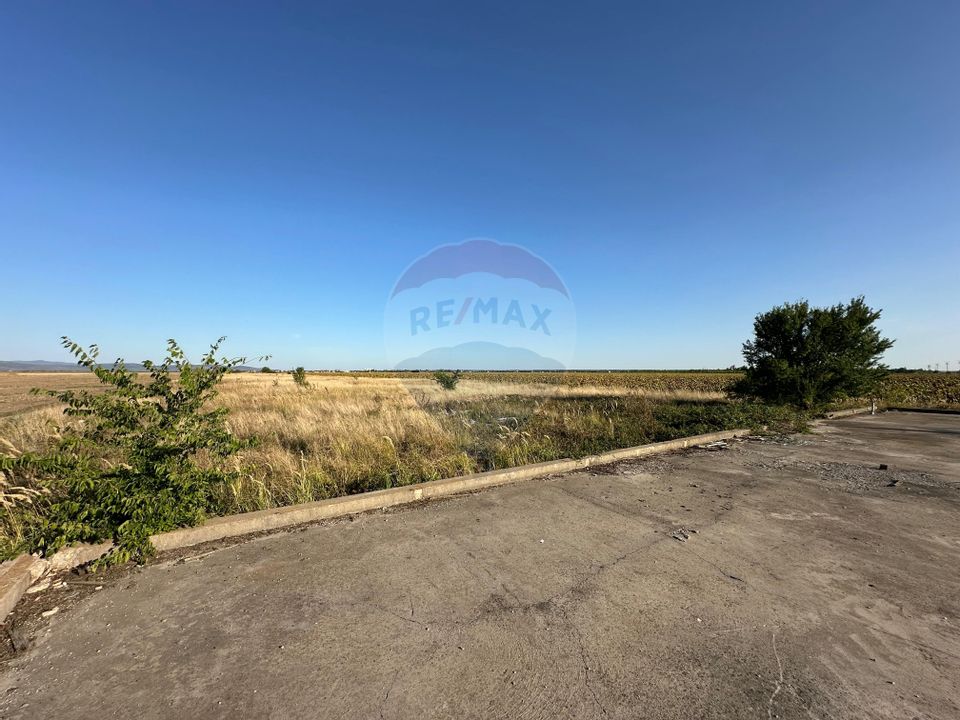 Teren extravilan de vânzare – 19.963 mp, E68 Mândruloc–Vladimirescu