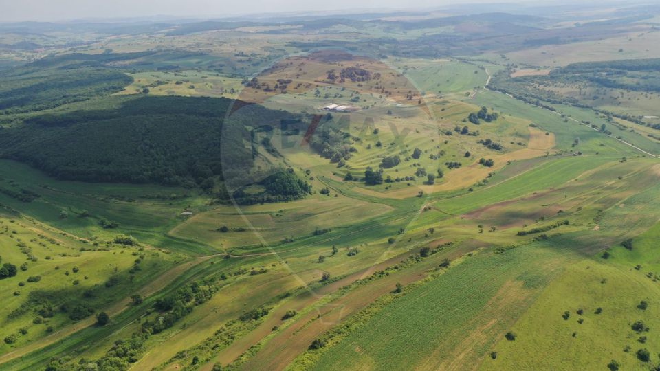 INVESTITIE REZILIENTA 300 HA Teren de vanzare in Zlagna Sibiu