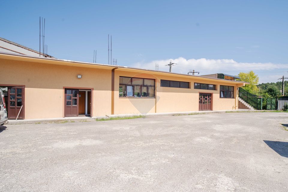 Hală industrială modernă de vânzare – Tomesti, Iași - 0% Comision