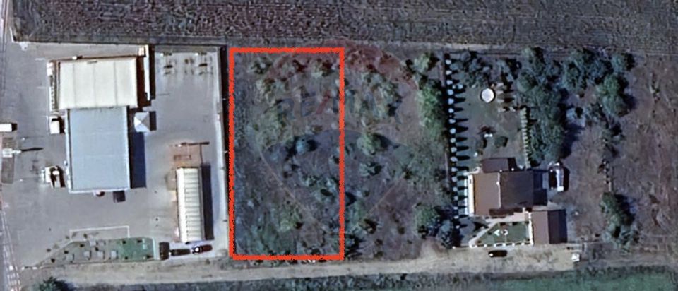 Teren 1,000mp Prejmer / Strada Str. Brașovului 162H, Prejmer 710380